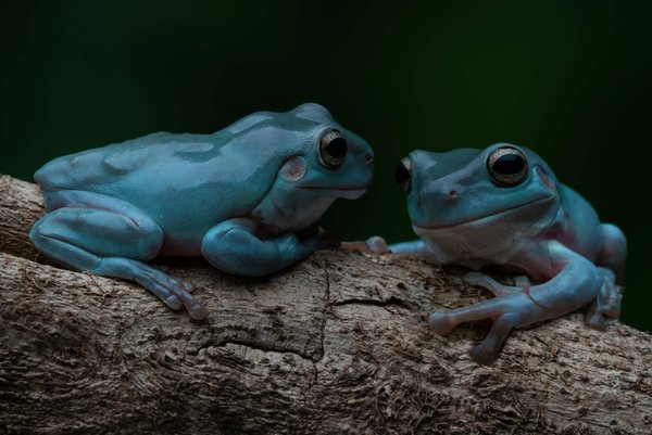 Quelles astuces pour ajouter une touche de couleur à une tenue tout en noir ?